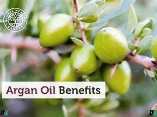 12 Benefits and Uses of Argan Oil